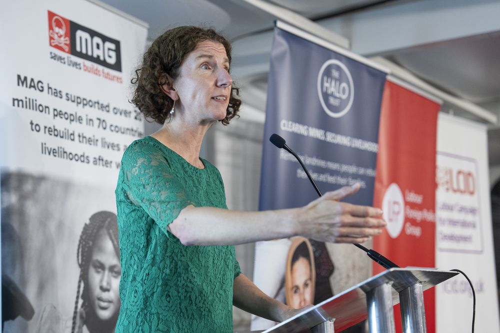 Minister for Development